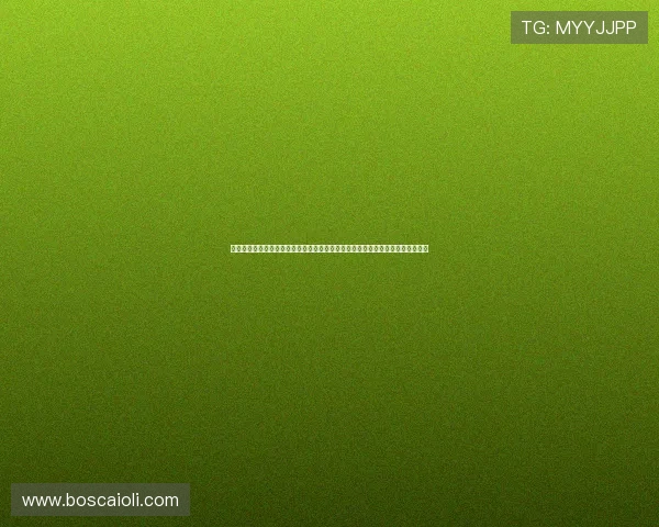 澳门新濠网址登录线路支持多终端观看世界杯，满足不同设备用户的高清直播体验